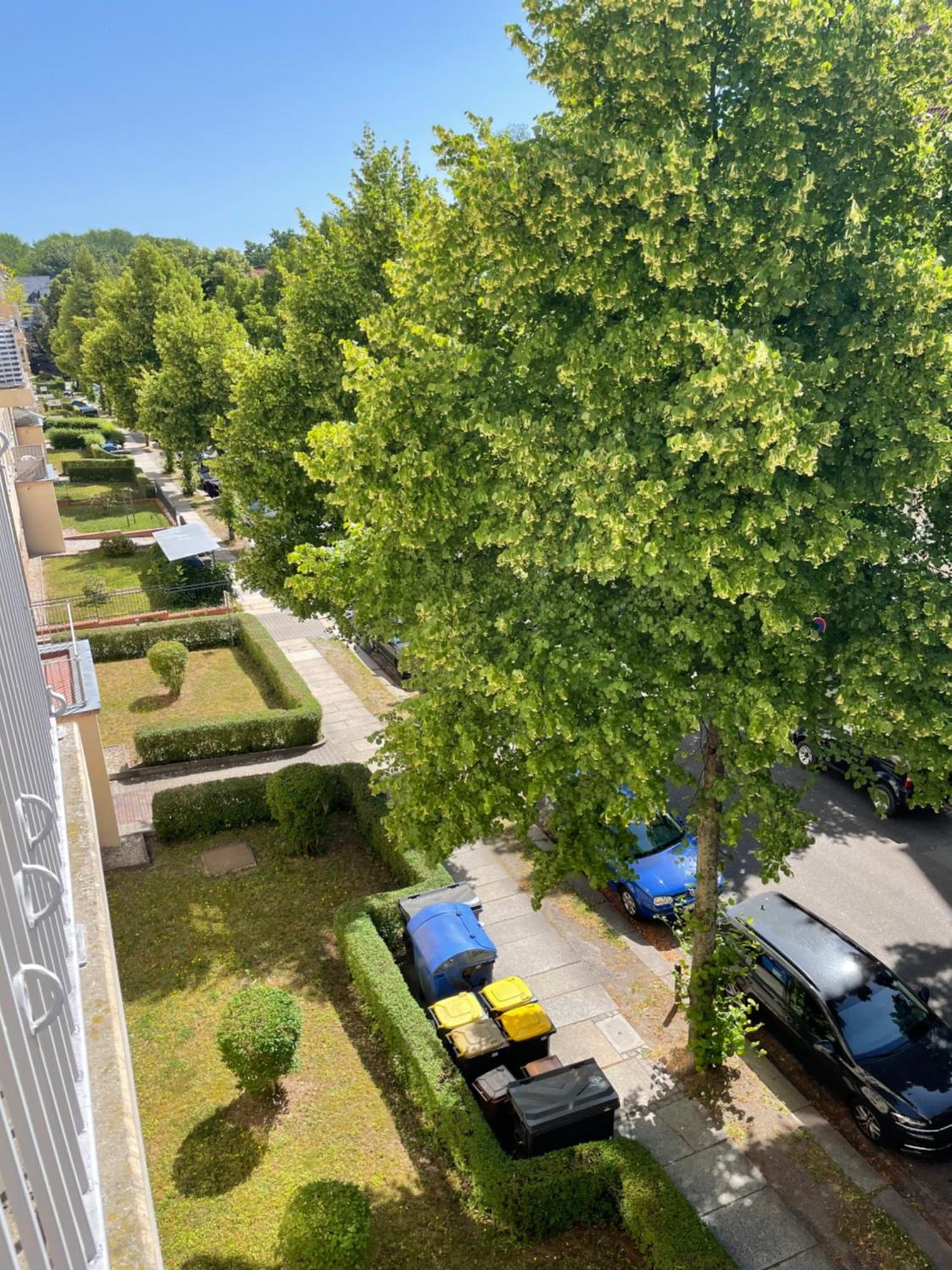 Ruhige Maisonettewohnung Auf Dem Kassberg Chemnitz Extérieur photo